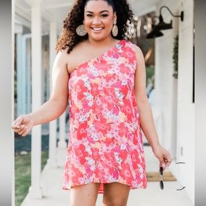 NWOT Pink Lily one shoulder dress in red floral print
